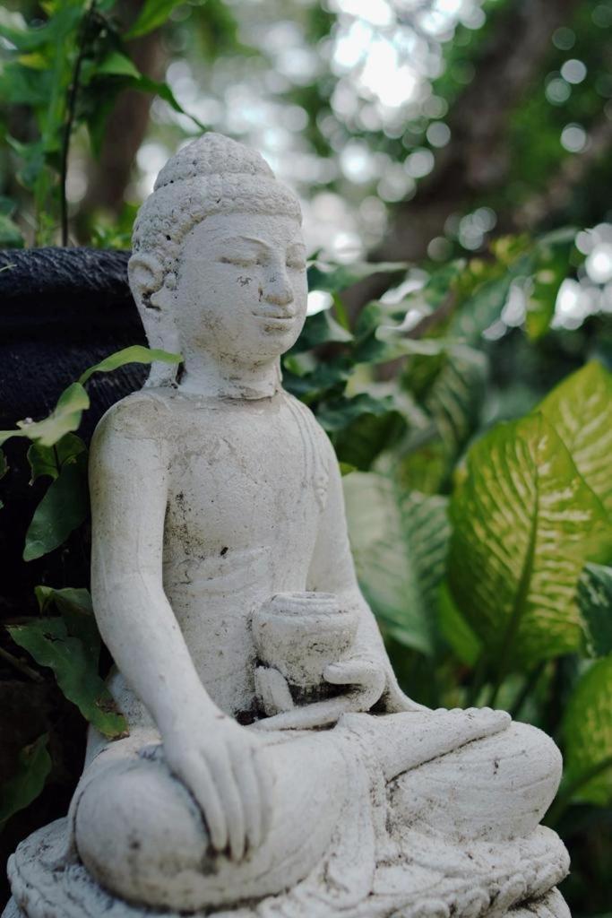 Sattva Yoga Retreat Villas Canggu Exterior foto